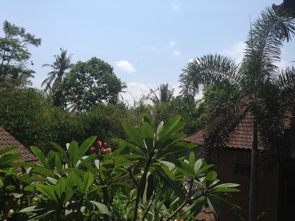 Ubud Rooms B&B 객실 사진