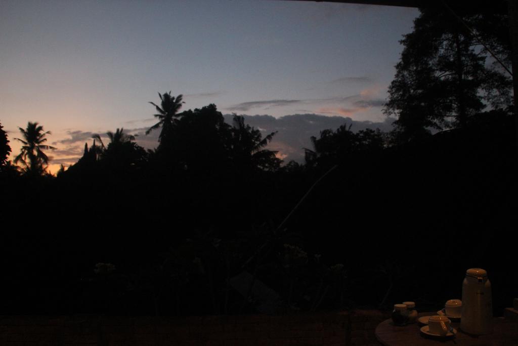Ubud Rooms B&B 외부 사진